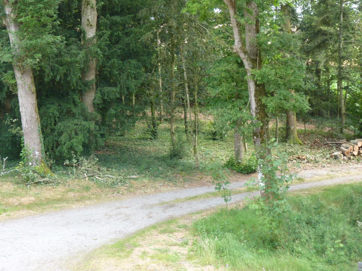 Chateau De Craon Comblessac Esterno foto