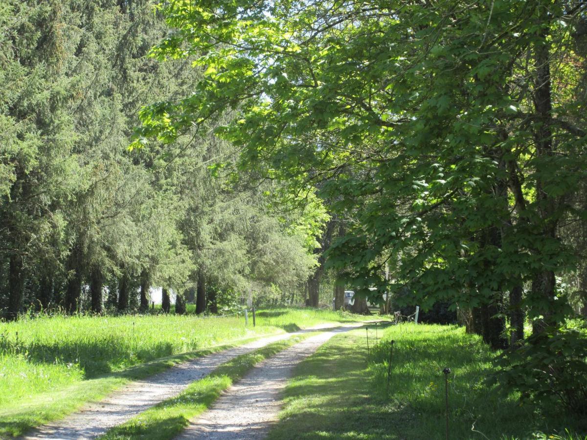 Chateau De Craon Comblessac Esterno foto