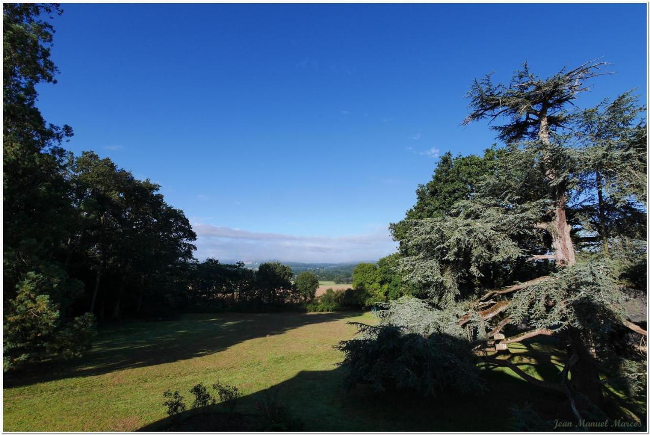 Chateau De Craon Comblessac Esterno foto