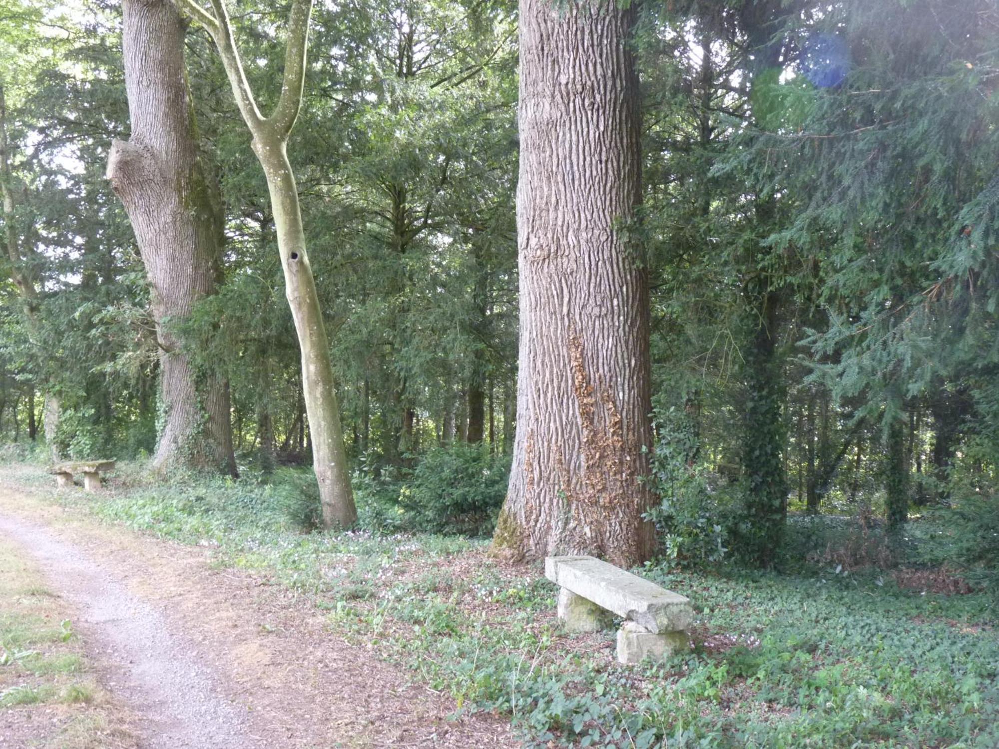 Chateau De Craon Comblessac Esterno foto