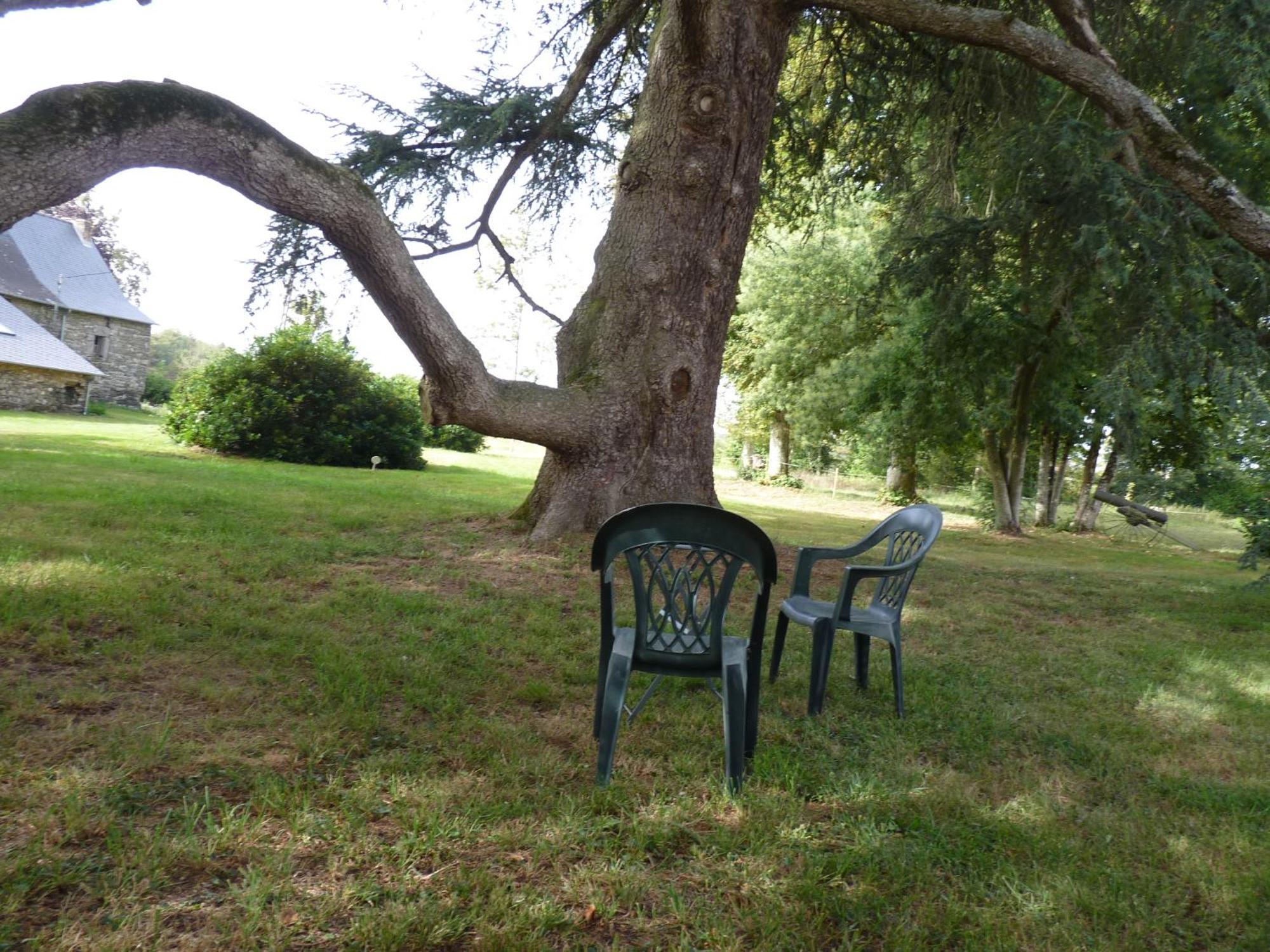 Chateau De Craon Comblessac Esterno foto