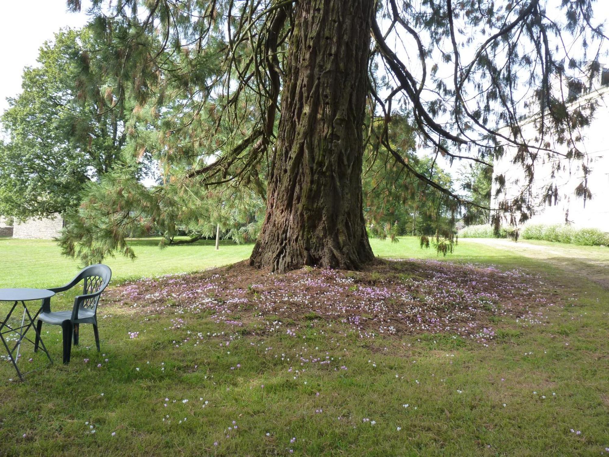 Chateau De Craon Comblessac Esterno foto
